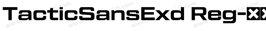 TacticSansExd Reg字体转换